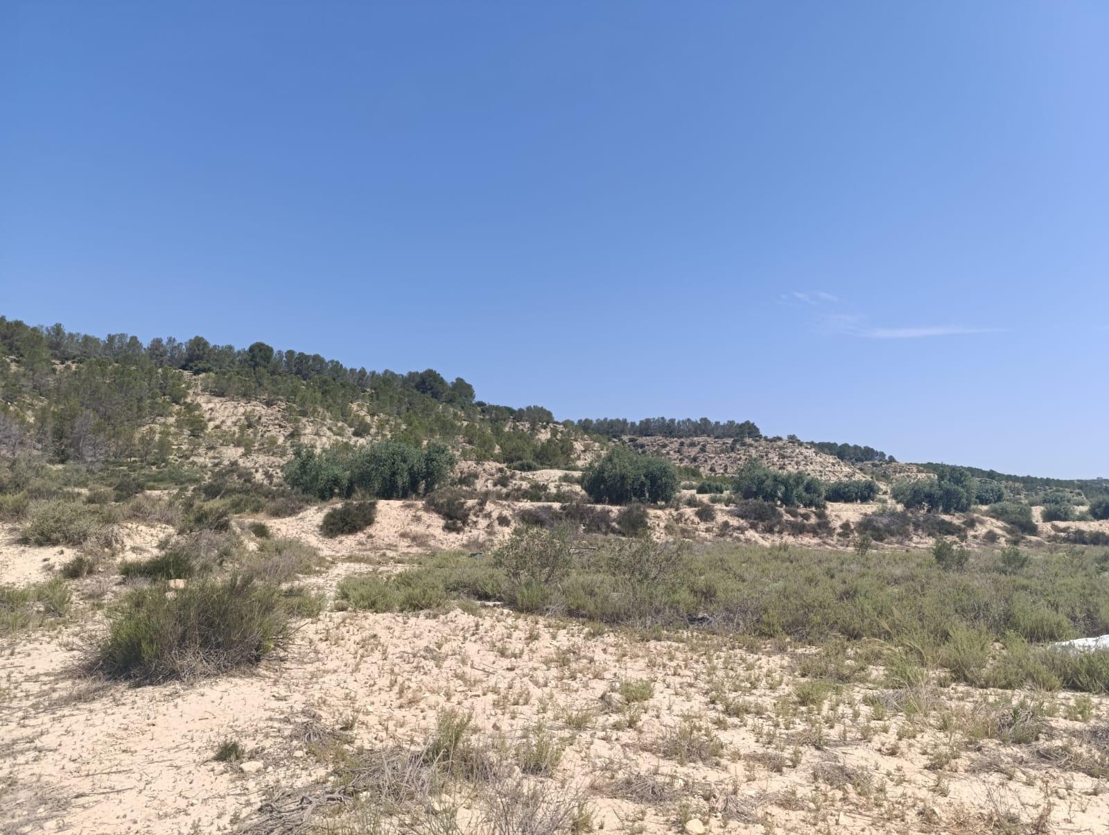 Land in Albudeite, Murcia for sale Aerial- Image 1 of 4
