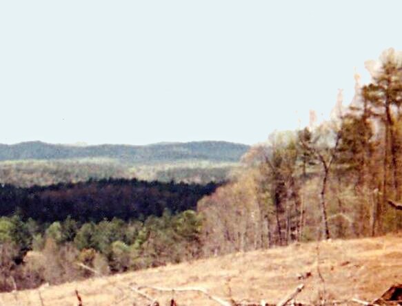 223 Land Bridge Rd, Mountain Rest, SC for sale - Building Photo - Image 1 of 1