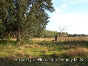 Powell Rd, Brooksville, FL for sale Building Photo- Image 1 of 1