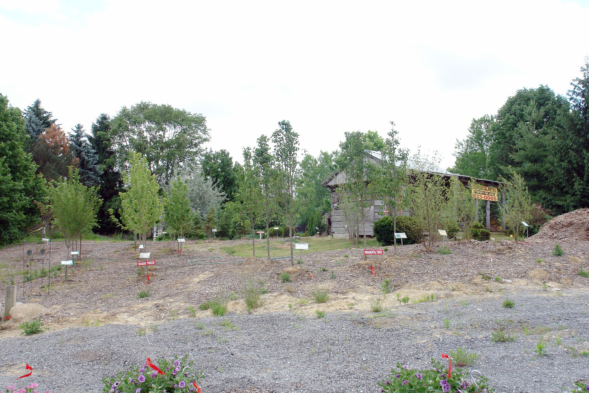 12345 Pendleton Pike, Indianapolis, IN for sale Primary Photo- Image 1 of 1