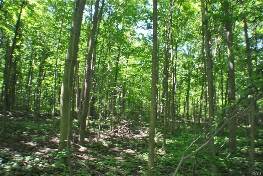 0 Totman Rd, Cicero, NY for sale - Building Photo - Image 1 of 1