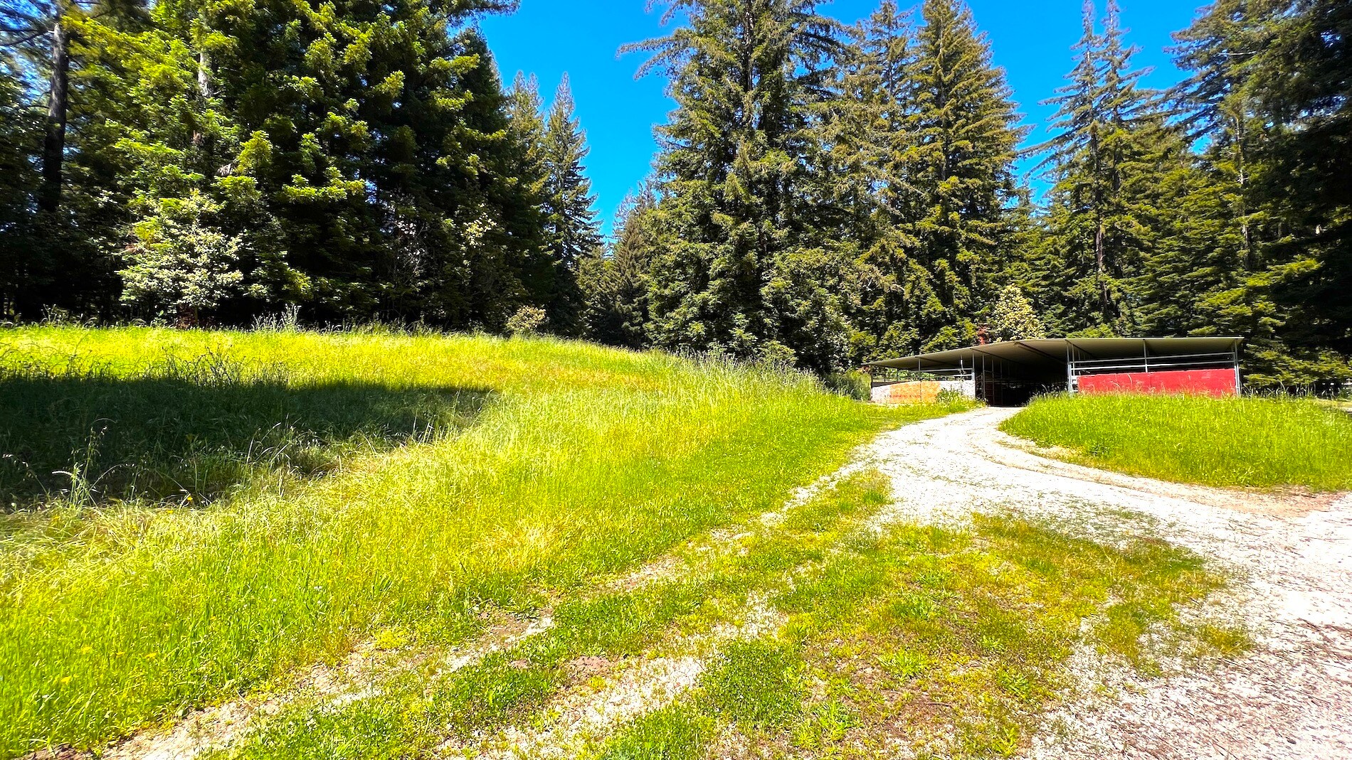 3675 Bonny Doon Rd, Santa Cruz, CA 95060 Bonny Doon Equestrian Park