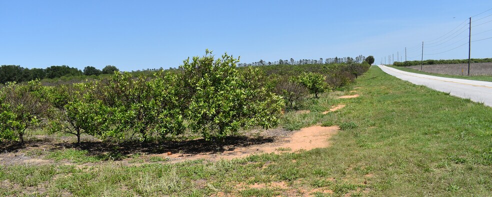 0 Friedlander Road, Babson Park, FL for sale - Primary Photo - Image 1 of 1