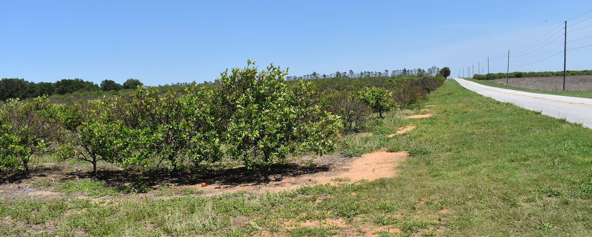 0 Friedlander Road, Babson Park, FL for sale Primary Photo- Image 1 of 1