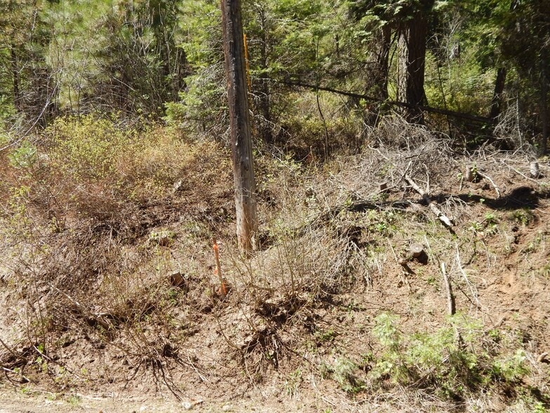 1601 Bear Trail Loop, Cascade, ID for sale - Building Photo - Image 2 of 5