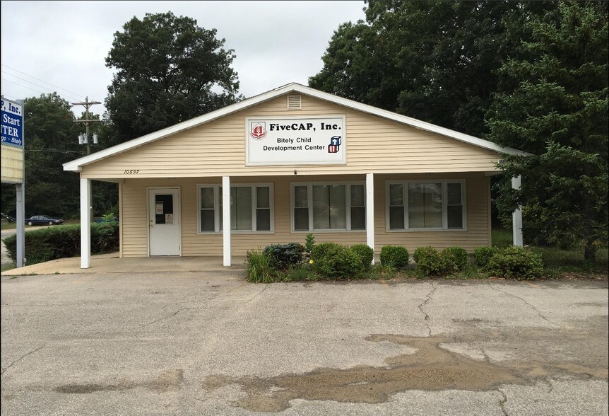 10697 N Bingham Ave, Bitely, MI for sale - Primary Photo - Image 1 of 1