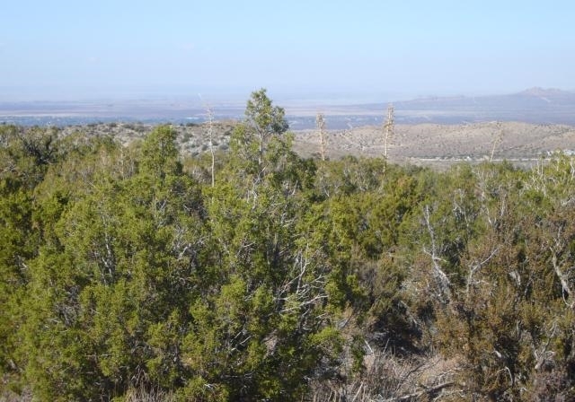 118th STREET EAST, Juniper Hills, CA for sale - Building Photo - Image 2 of 8