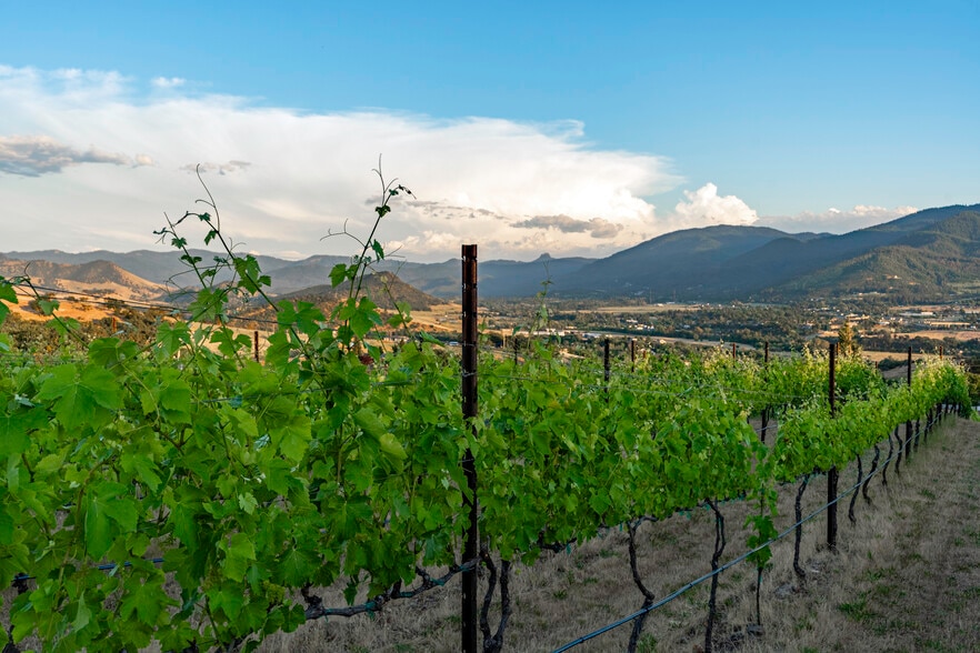 786 Pompadour Dr, Ashland, OR for sale - Building Photo - Image 2 of 83