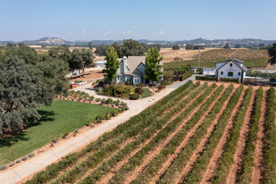 10786 Shenandoah Rd, Plymouth CA - Vineyard