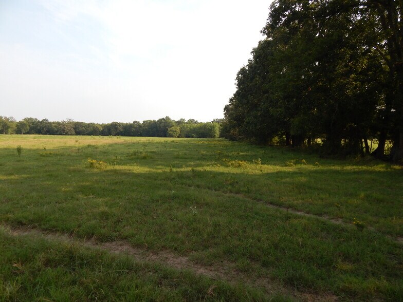 Lot 7 7th St, Bogata, TX 75417 5 Acre Lot in Bogata TX