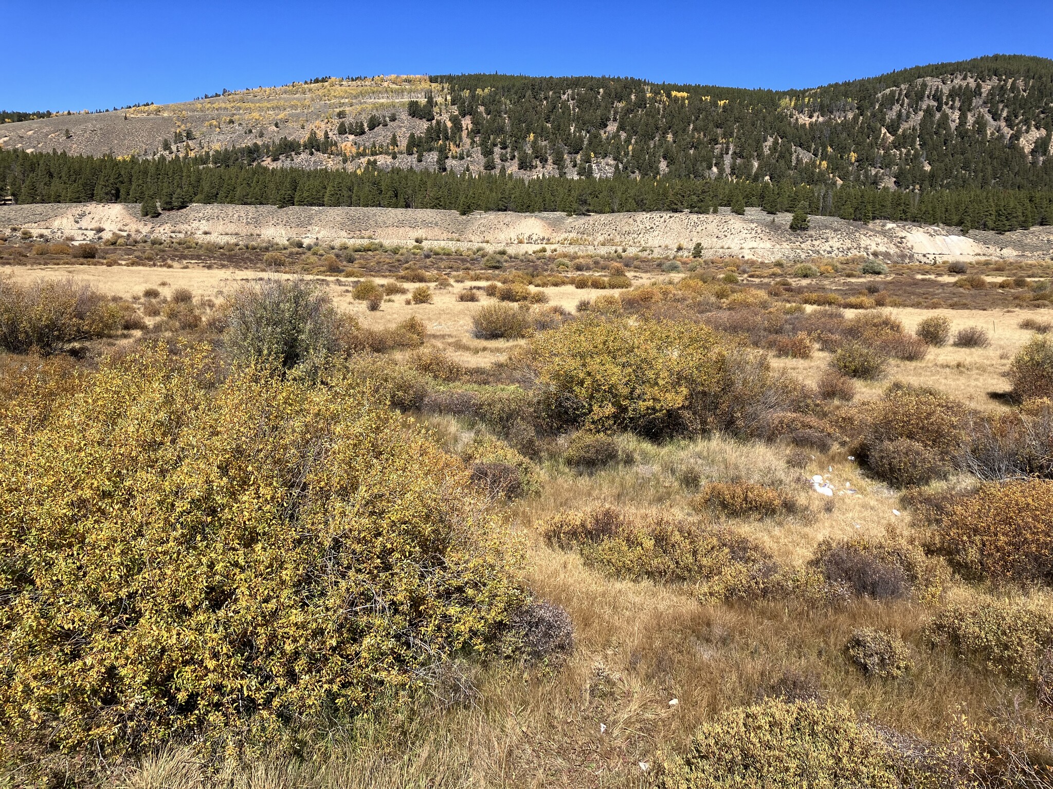 River Rd, Leadville, CO for sale Building Photo- Image 1 of 8