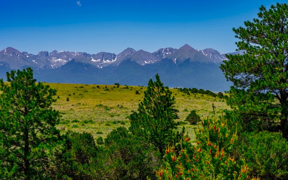 525 Brush Hollow Rd, Westcliffe, CO for sale - Primary Photo - Image 1 of 21