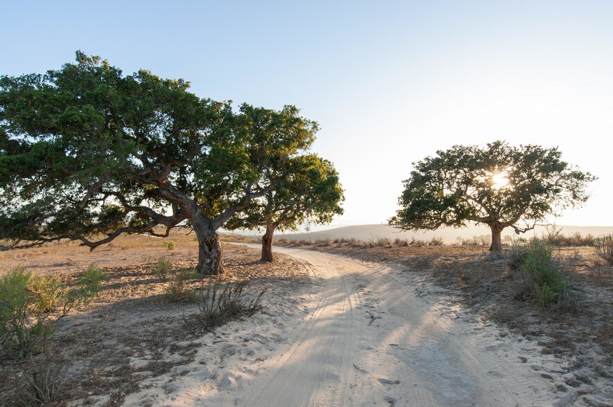 4755 Sweeney Rd, Lompoc, CA for sale - Other - Image 1 of 1