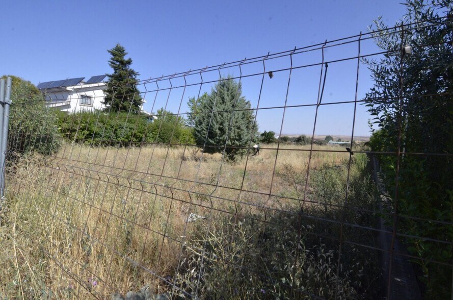 Land in Carrascal de Barregas for sale - Building Photo - Image 3 of 31