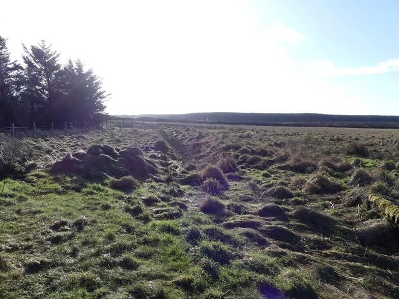 Land At Mey, Thurso for sale - Building Photo - Image 2 of 4