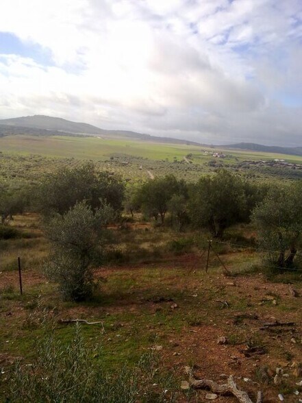 Land in Cáceres for sale - Building Photo - Image 2 of 5