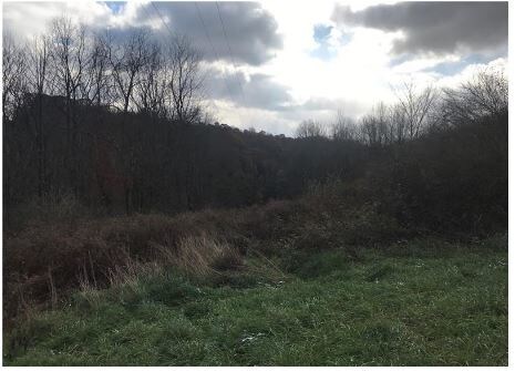 Iron Bridge Rd, Kittanning, PA for sale Primary Photo- Image 1 of 1