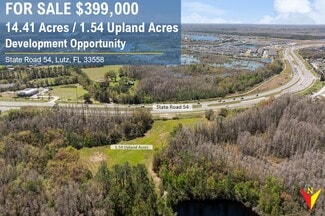 More details for State Road 54, Land O' Lakes, FL - Land for Sale