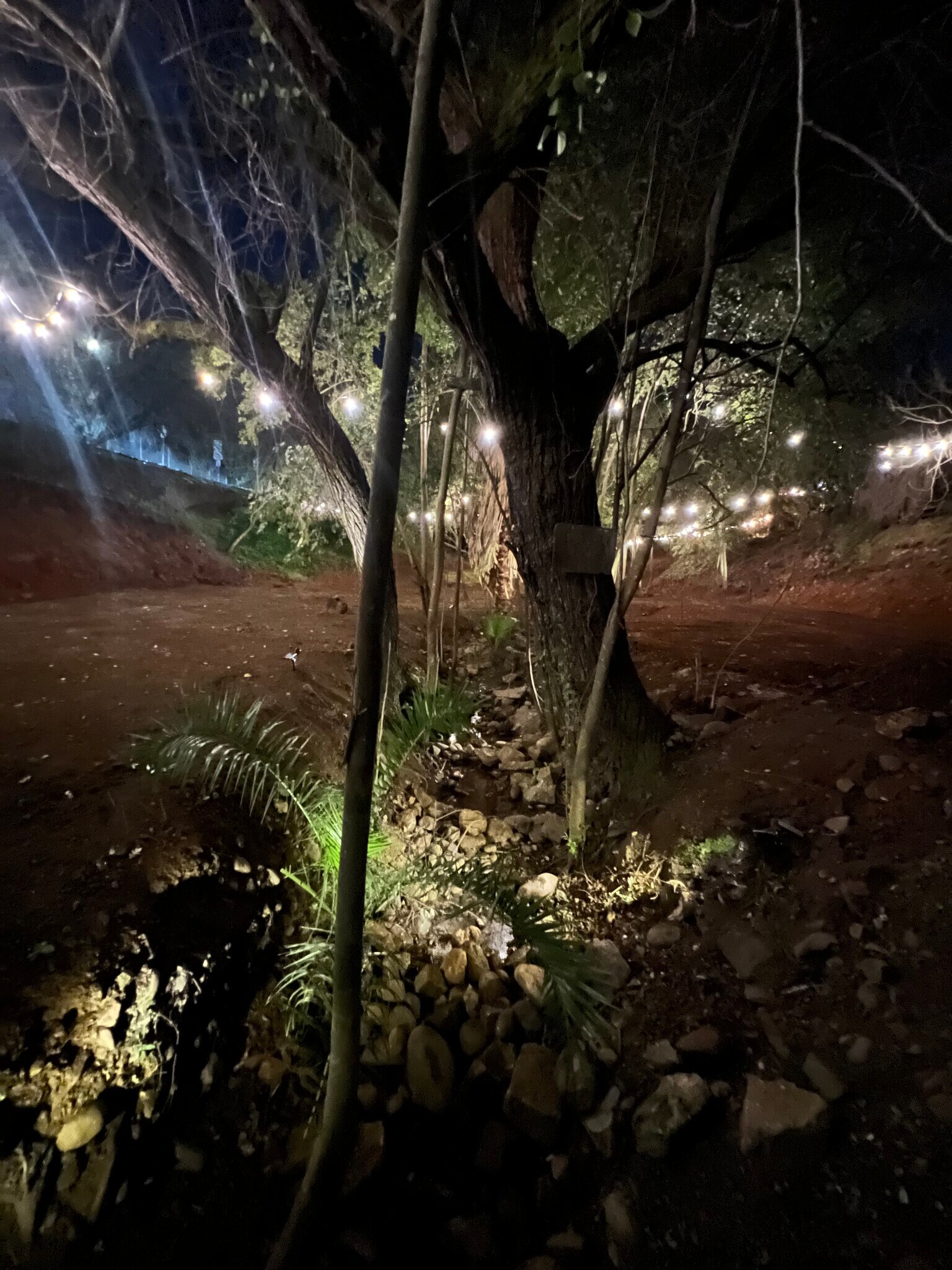 702 Figueroa St, Folsom, CA for sale Primary Photo- Image 1 of 1