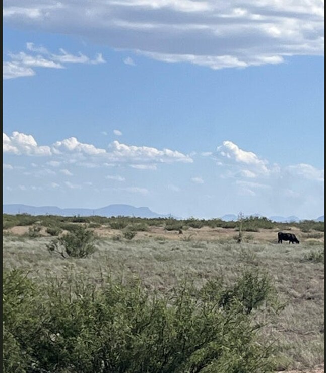 00XX HWY 191 -- 037, Douglas, AZ for sale Building Photo- Image 1 of 1