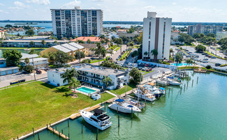 More details for 223 Dolphin Pt, Clearwater, FL - Multifamily for Sale