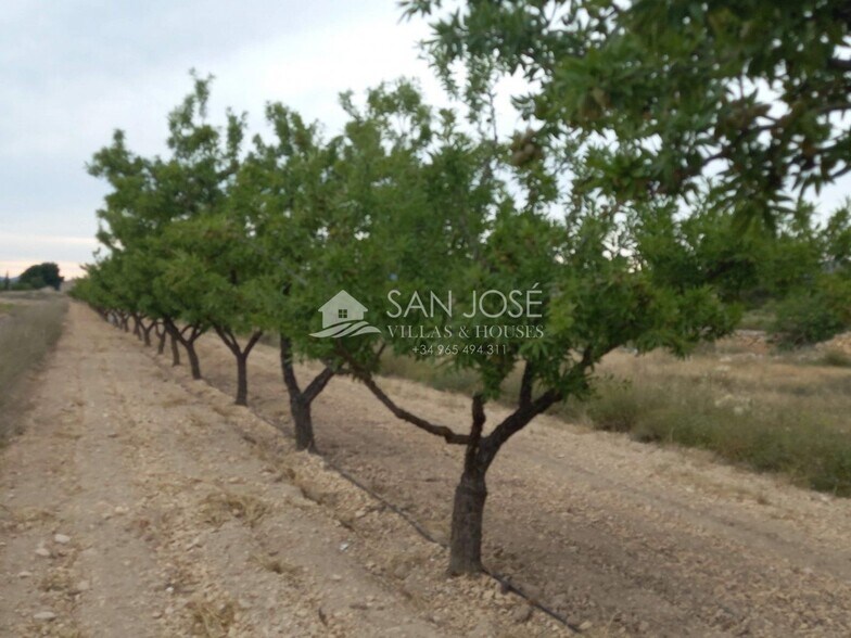 Land in Monóvar for sale - Building Photo - Image 1 of 15