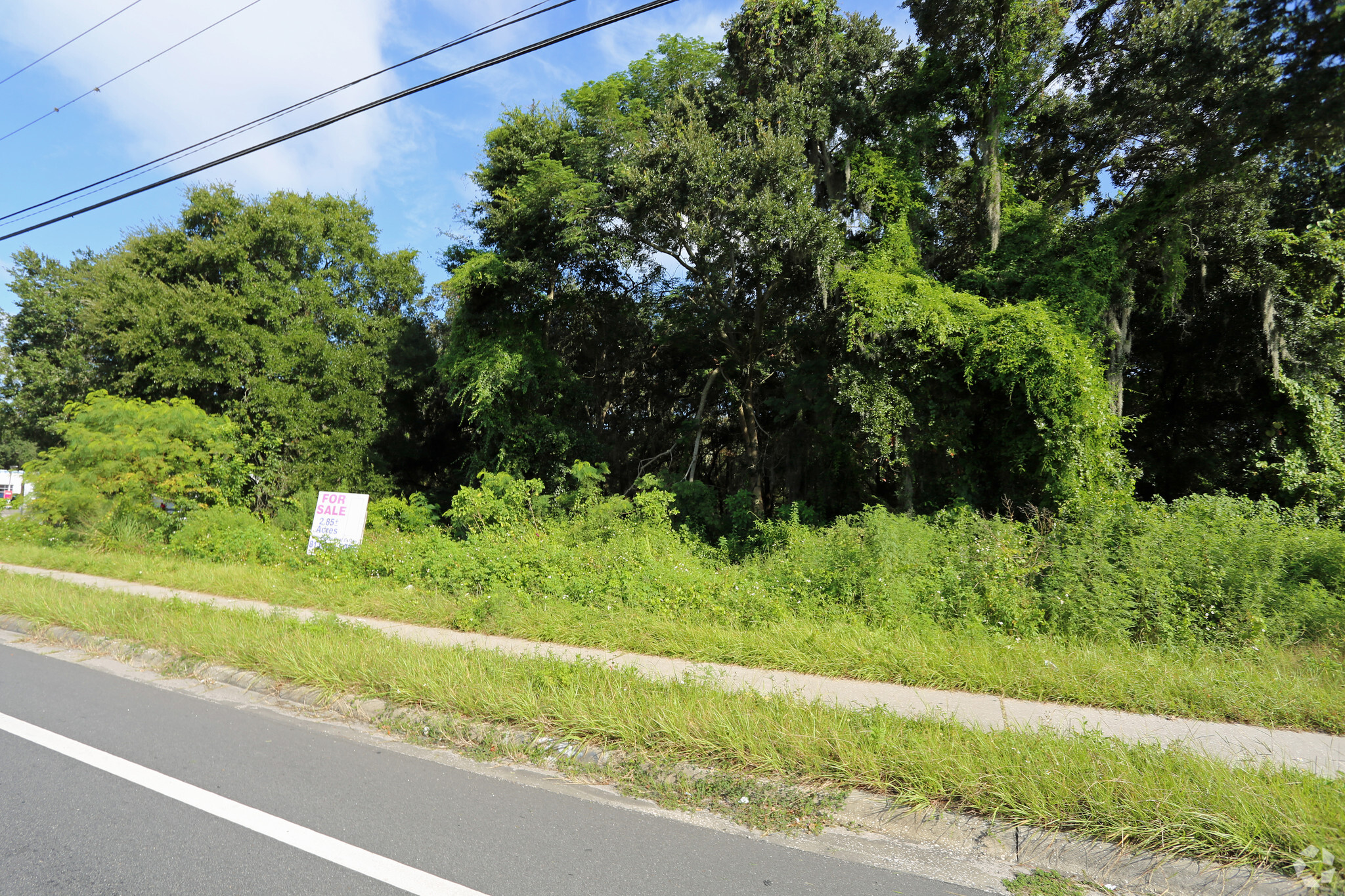 13603 N 12th St, Tampa, FL for sale Primary Photo- Image 1 of 1