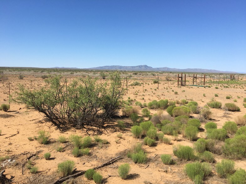 736 Upham Rd, Truth Or Consequences, NM 87901