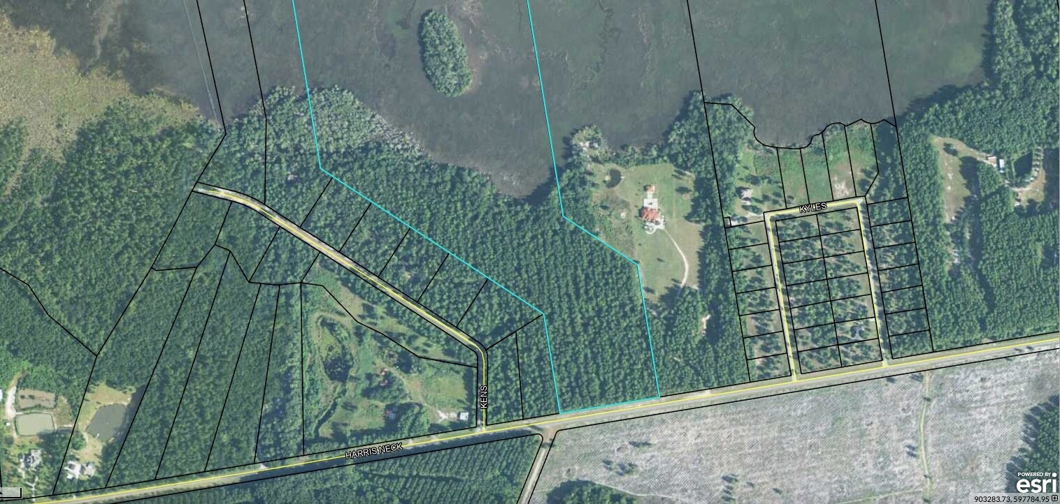 0 Harris Neck rd, Townsend, GA 31331 30 Acres Possible development