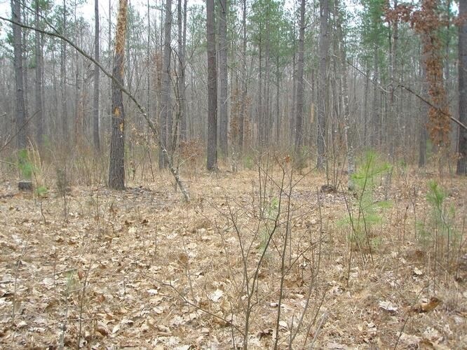 Red Rd, Dillwyn, VA 23936