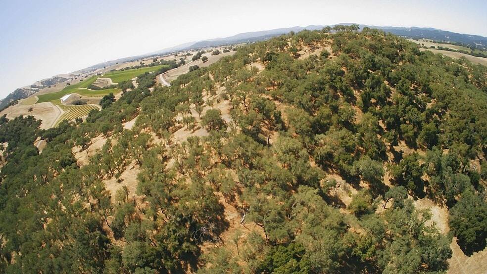 993 Moss Ln, Templeton, CA for sale - Aerial - Image 2 of 6