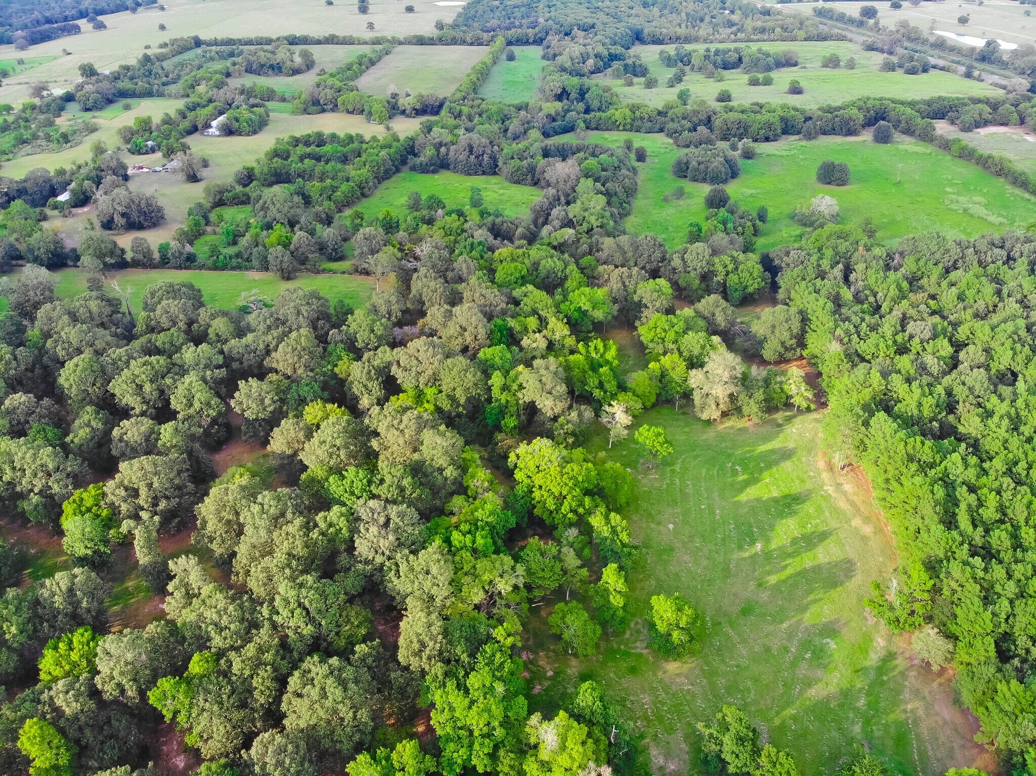 9192 State Highway 75 S, New Waverly, TX 77358 Land for Sale