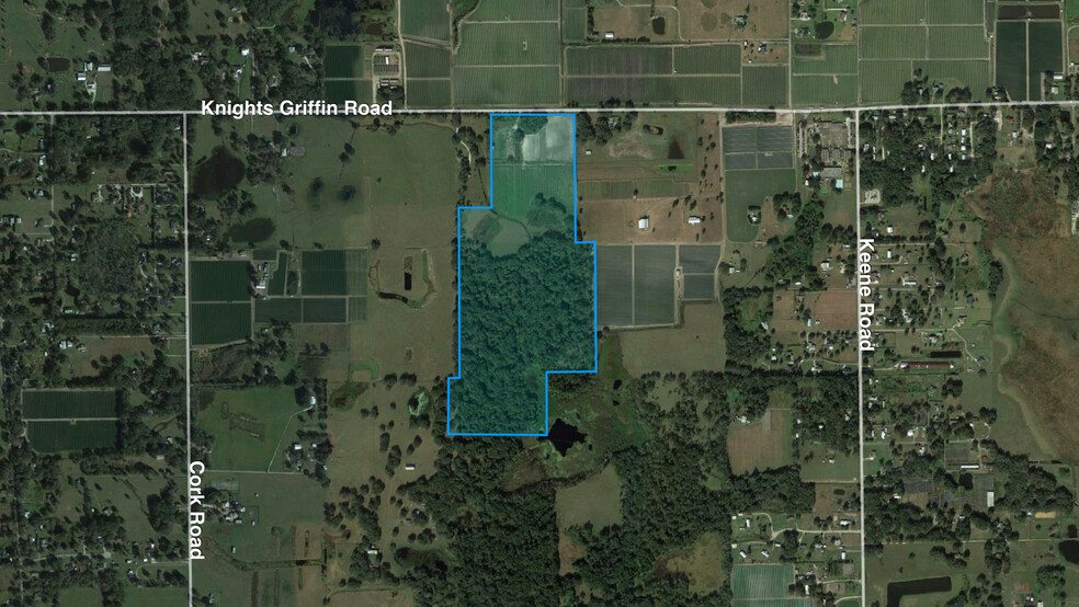 3701 Knights Griffin Rd, Plant City, FL for sale - Building Photo - Image 1 of 8