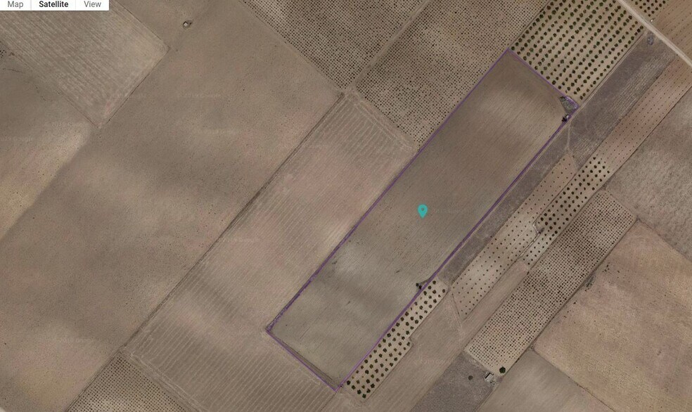 Land in Yecla for sale - Building Photo - Image 1 of 2