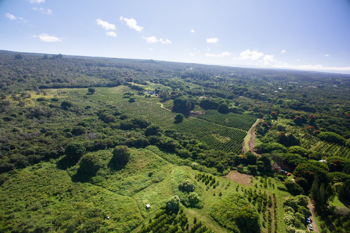 Kahaluu Lots Mauka, Holualoa, HI