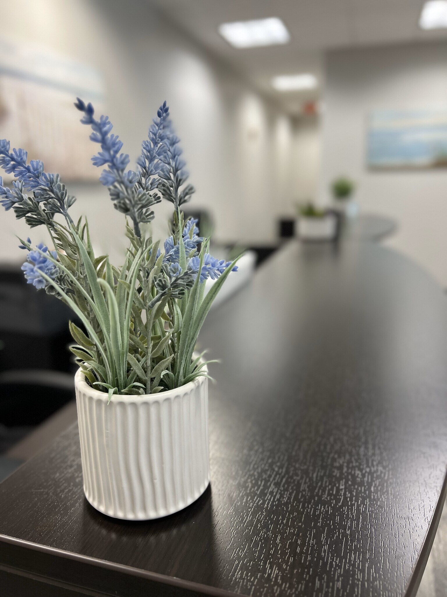 19824 W Catawba Ave, Cornelius, NC for lease Interior Photo- Image 1 of 14