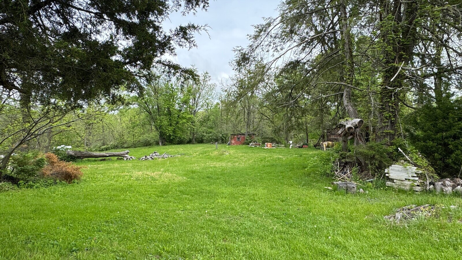 View Photo