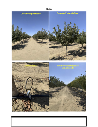 More details for 45551 Panoche Rd, Firebaugh, CA - Land for Sale