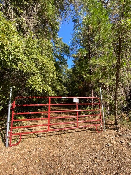 19055 Cedar Pines dr, Fiddletown, CA for sale - Primary Photo - Image 1 of 1