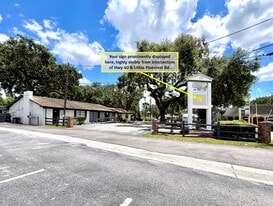 115 Lithia Pinecrest Rd, Brandon FL - Loft