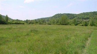 Town Dr & Crossing Dr, Wilder KY - Theater