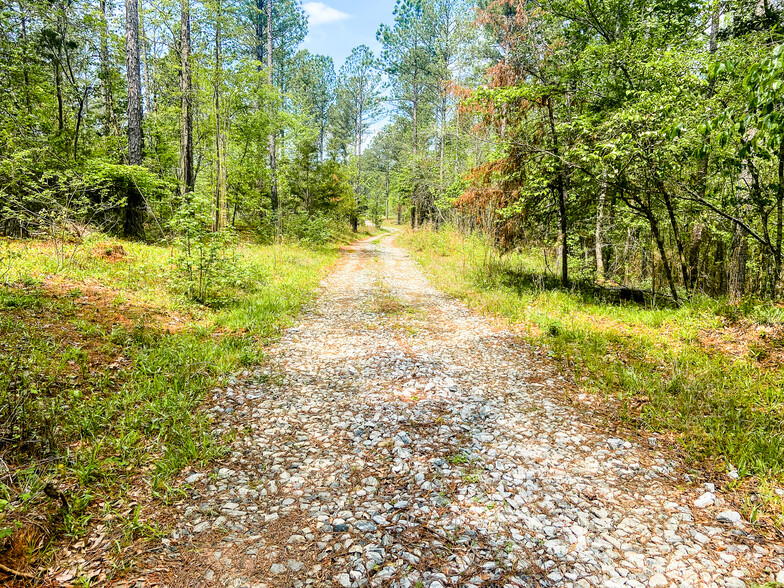 1249 Riley Road rd, Buffalo, SC for sale - Building Photo - Image 2 of 2