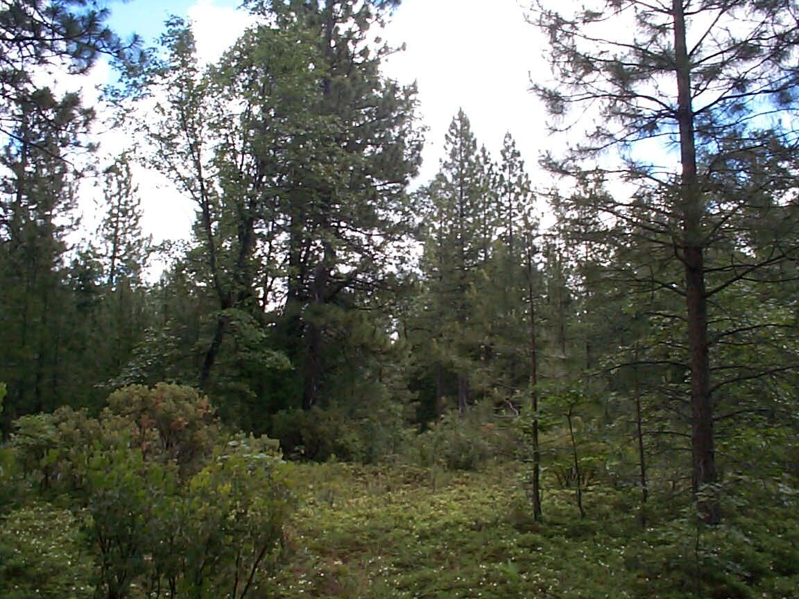 View Photo