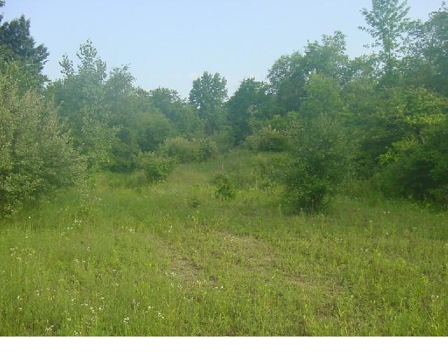 4300 Mast Rd, Dexter, MI for sale - Primary Photo - Image 1 of 1