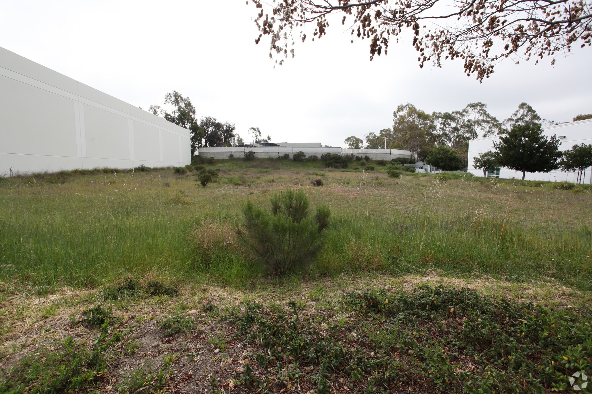 13635 Stowe Dr, Poway, CA for lease Building Photo- Image 1 of 4