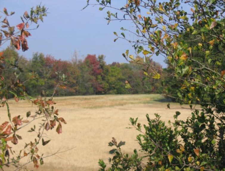 Hardscrabble Rd, Columbia, SC 29203