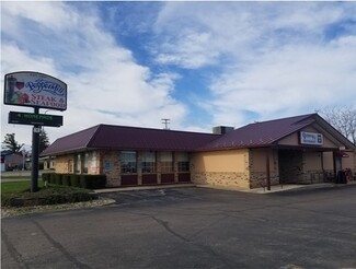 More details for 685 N Port Crescent St, Bad Axe, MI - Retail for Sale