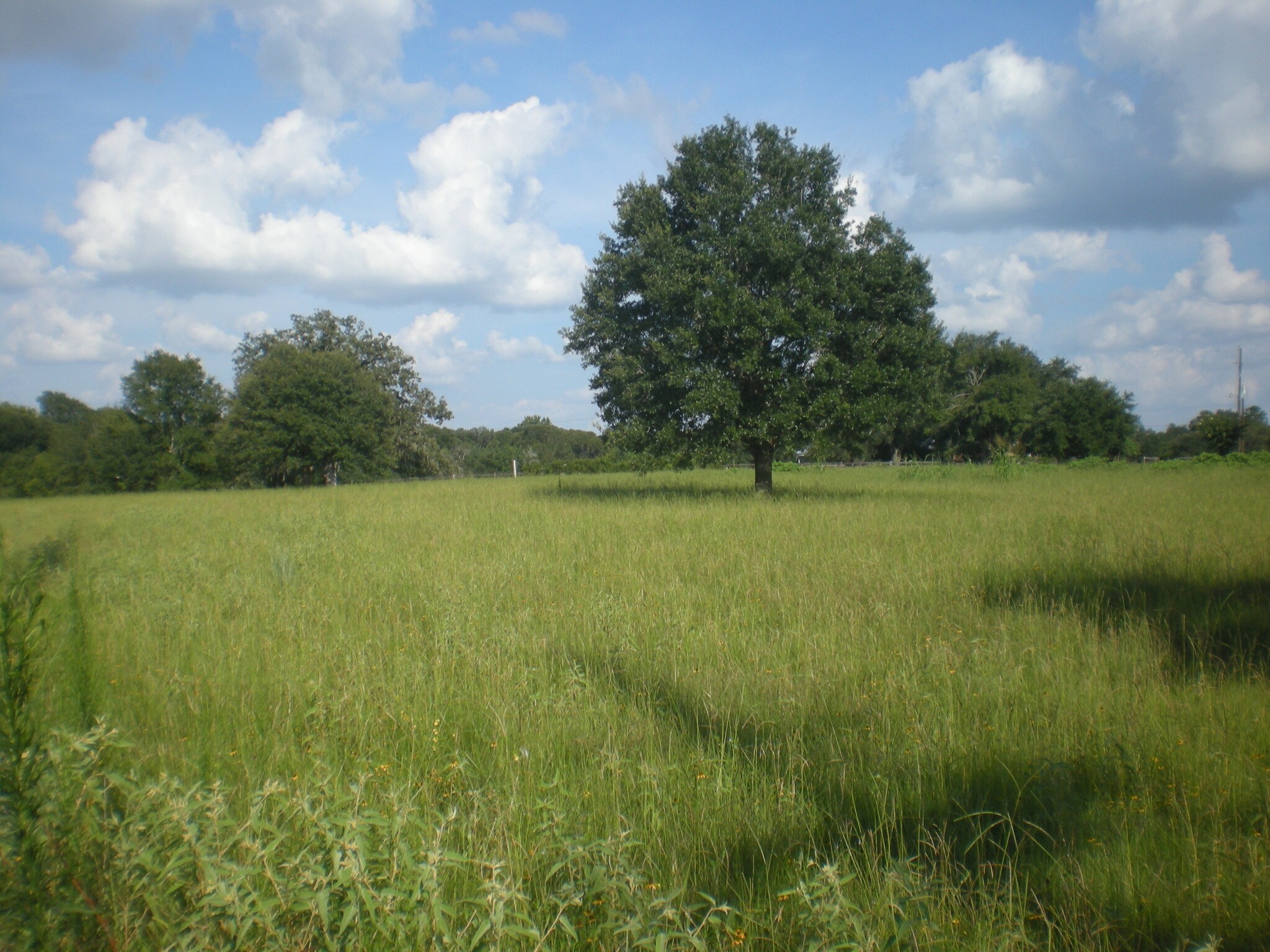 31107 FM 1093 Rd, Fulshear, TX for sale Other- Image 1 of 1