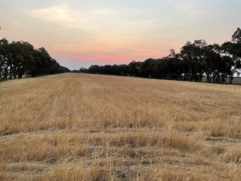 Courtland Rd & Willow Point Ranch, Clarksburg, CA for sale - Other - Image 3 of 7