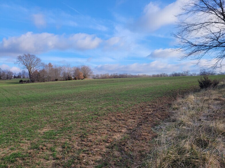 Bales Rd. (55.3+/- Acres), Middletown, MO for sale - Other - Image 1 of 41